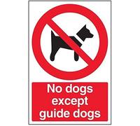 V Safety No Dogs Except Guide Dogs Prohibition Sign - 200mm x 300mm - 1mm Rigid Plastic