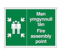 V Safety Welsh/English - Fire Assembly Point - Landscape 600 x 400 mm - 3mm Aluminium Composite Safety Sign