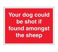 V Safety Your Dog Could Be Shot If Found Amongst The Sheep - Large Landscape 600 x 450 mm - 3mm Aluminium Composite Safety Sign