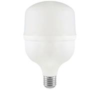 V-TAC 23571 LED Bulb EEC F E-27 30W 157x100mm White Monochrome