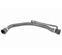 VAICO V20-1317 Radiator hose