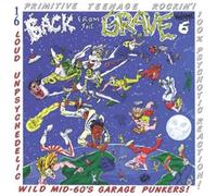VA - BACK FROM THE GRAVE VOLUME SIX: 16 LOUD UNPSYCHEDELIC WILD MID-60'S GARAGE