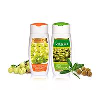 Vaadi Herbals Amla Shikakai With Olive Hairfall & Damage Control Organic Shampoo And Conditioner Set 110 Ml X 2