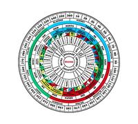 VAASTU VARDAN VASTU Acrylic Shakti Chakra/featuring 45 DEVTA, ANGULAR DIVISION,16 ATTRIBUTES WITH COLOR,HEALTH CHART, RAJAS,SATTAV,TAMAS,FOR MAHA-Vaastu (6 INCH) Pack of 1