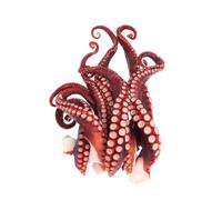 Vac Pac Frozen Cooked Octopus Tentacles 350g x 15 Pack