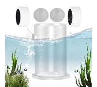 Vacation Fish Feeder, Clear Fish Tank Feeder Dishes Tray, Feeding Equipment With Suction Cup Design, Anti-Drift Ring And Leak Net, Water Accessories For Home