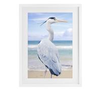 Vacationing Heron Coastal Bird, 14 x 20 Inch Framed Print Under Glass