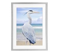 Vacationing Heron Coastal Bird, 14 x 20 Inch Framed Print Under Glass