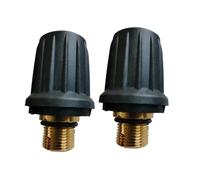 Vacuum Cleaner Accessories Steam Brass Safety Valve， Compatible for KARCHER， SG4-4 2.889-104.0 Household Supplies Cleaning(2pcs)