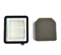 Vacuum Cleaner Filter Set, For AEG QX6 QX7 QX8-2 Accessory Filter, Improved Air Dander Dust, 1 X Pre-motor Filter 1 X Filter