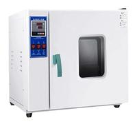 Vacuum Drying Oven, Lab Convection Oven, Laboratory Drying Oven, Constant Temperature Blast Drying Oven Steel Plate, for Laboratory Test Drying 16L101-0B