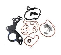 Vacuum Fuel Tandem Pump Repair Kit Compatible with PASSAT GOLF Polo A2 A3 A4 A6 Superb 1.9 2.0 1.4 TDI 038145209C 038145209A