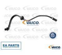 Vacuum Hose, brake system for AUDI A3 VAICO V10-3604 fits Brake Booster