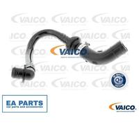 Vacuum Hose, brake system for SEAT LEON TOLEDO VAICO V10-3612