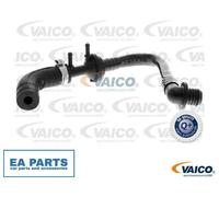 Vacuum Hose, brake system for VW BORA GOLF VAICO V10-3610
