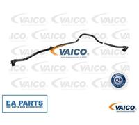 Vacuum Hose, brake system for VW CARAVELLE T4 Bus VAICO V10-3655