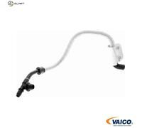 VAICO V10-3616 Brake vacuum hose