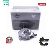 Vacuum pump 18SKV033 ESEN SKV for AUDI VW PORSCHE