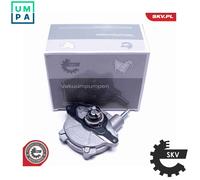 ESEN SKV 18SKV053 Brake vacuum pump
