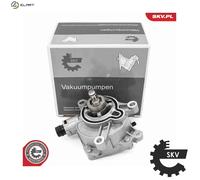 ESEN SKV 18SKV078 Brake vacuum pump