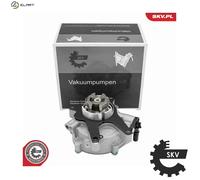 ESEN SKV 18SKV087 Brake vacuum pump