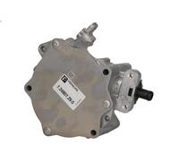 Vacuum Pump, braking system PIERBURG 7.24807.29.0 for AUDI A3 (8P1) 2 2004-2012