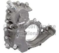 Vacuum pump Mechanical Tandem Pump 7.02551.09.0 PIERBURG for FIAT IVECO