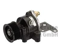 PIERBURG 7.24808.02.0 Brake vacuum pump