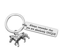 Vadaka Inspirational Keyring Encouragement Gift for Zebra Lover Gift Always Remember That You are Keychain Keyring Graduation Anniversary Christmas Birthday Present for Women Men Friend