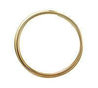 Vaessen Creative Aluminium Craft Wire Flat 8.2 ft (2,5 m) x 0.04" (1 mm) x 0.4" (1 cm) Light Gold - Flexible Metallic Wire for Crafting, Flower Arranging, Jewellery Making and Modelling
