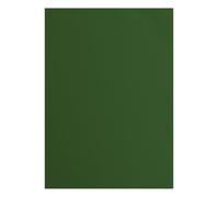Vaessen Creative Cardstock A4-25 pcs - Pine (Green) - Textured 216 GSM Paper - Coloured Card Making Supplies for Scrapbooking & Crafts