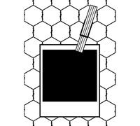 Vaessen Creative Embossing Folder Polaroid with Wire 5.75 x 4.21 inches - Embossing Folder for Card Making, Scrapbooking, Journaling - Reusable - for Embossing and Die-Cutting Machines