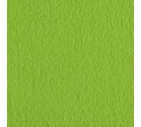Vaessen Creative Felt Fabric Sheet, Light Green, One Size