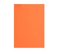 Vaessen Creative Foam Sheets, Neon Orange, One Size