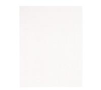 Vaessen Creative Plastic Canvas, 7 Count, Flexible Mesh Sheets for Crafts, Embroidery and Cross Stitch, 2 Pieces, Size 26x34 cm or 10.2x13.3, Transparent