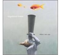 Vagabond Lovers - When I Was You