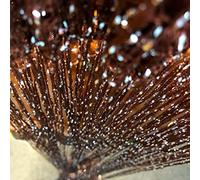 Vagasi 2 Pack Beaded Curtains String 100x200 cm Beaded Curtains for Doorways Tassel Glitter String Curtains Room Dividers Curtain Hippie Room Décor for Living Room, Bedroom, Closet, Party