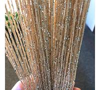 Vagasi 2 Pack Beaded Curtains String 100x200 cm Beaded Curtains for Doorways Tassel Glitter String Curtains Room Dividers Curtain Hippie Room Décor for Living Room, Bedroom, Closet, Party