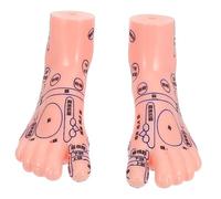 Vaguelly 1 Pair Foot Acupoint Model Durable Foot Massage Model for Teaching Acupuncture Unique Learning Tool for Students and Practitioners and Acupressure Techniques