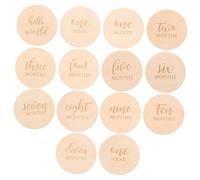Vaguelly 14pcs Discs Adorable Photo Props for Newborn Growth Tracking for Shower Unique Keepsake for Capturing Precious Moments