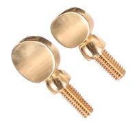 Vaguelly 2pcs Alto Saxophone Neck Screws Tightening Parts for Sax Repair Easy to Install Lightweight and Practical Gold Finish