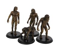Vaguelly 4pcs Human Evolution Models Educational Playthings for Reusable Statues of Early Humans for Learning and Cognitive Development