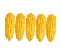 Vaguelly 5Pcs Lifelike Simulation Corn Models Realistic Artificial Corn Props for Decoration Photography and Teaching Safe Foam Vegetable Display for Cognitive Learning