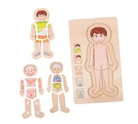 Vaguelly Body Structure Puzzle for Educational Intelligence Development Game Suitable for Boys and Interactive Parent Activity