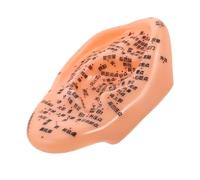 Vaguelly Chinese Medicine Ear Acupoint Massage Model Acupuncture Points Ear Massage Tool Safe Materials Convenient Use Comprehensive Health Benefits