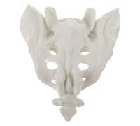 Vaguelly Human Sacrum Anatomy Model Pvc with Smooth Surface and Washable Design Artificial Sacrum Model for Practice and Field Use by Nurses and Doctors