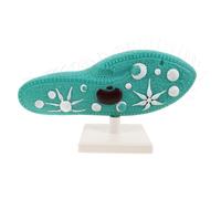 Vaguelly Paramecium Model: Paramecium Anatomy Model With Stand Educational Biology Lab Equipment For Middle School Science Experiments Microscopic Organism Teaching Aid