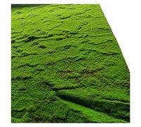 VagxTbs 1x1m DIY grass lawn landscape garden simulation plant, It's the perfect way to add a touch of nature to your home (Q)