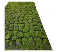 VagxTbs 1x1m DIY grass lawn landscape garden simulation plant, It's the perfect way to add a touch of nature to your home (Ab)