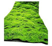 VagxTbs 1x1m DIY grass lawn landscape garden simulation plant, It's the perfect way to add a touch of nature to your home (Bc)